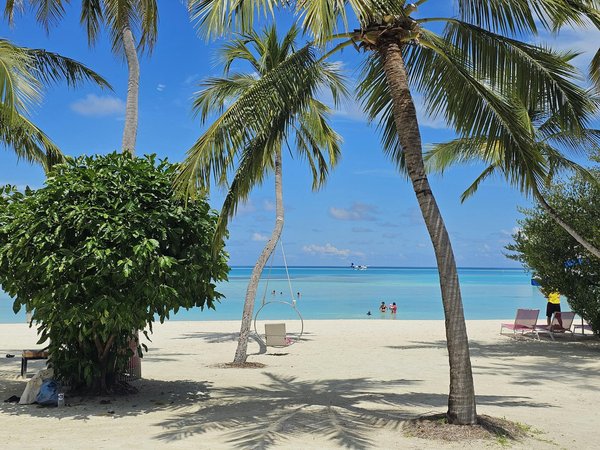 Comparatif: agences de voyages de luxe vs planification indépendante