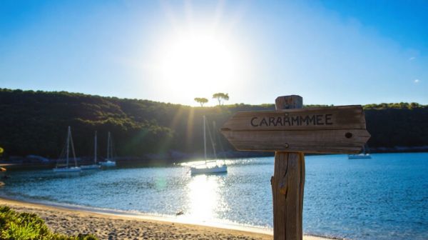 Top campings en Bretagne pour une escapade nature et bien-être